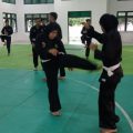Tim pencak silat Sumut bertekad mematahkan dominasi Jawa Barat di PON XXI Sumut-Aceh. Tekad tersebut ditetapkan berdasarkan hasil tiga kali try out, latihan di luar daerah dan faktor tuan rumah.