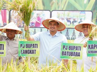 Dalam upaya menekan angka inflasi dan memperkuat ketahanan pangan di Sumatera Utara, beberapa kepala daerah di Sumut bergandengan tangan dalam pelaksanaan panen raya padi di Desa Sei Buluh, Kecamatan Teluk Mengkudu, Kabupaten Serdang Bedagai, Minggu (25/8/2024).