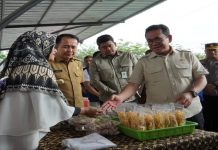 Menteri Perdagangan Budi Santoso, PJ Gubsu Agus Fatoni dan Walikota Medan Bobby Nasution memantau kegiatan Gerakan Pangan Murah (GPM) di Taman Sakasanwira, Jalan Kapten Rahmad Buddin, Kecamatan Medan Marelan, Selasa (17/12/2024).