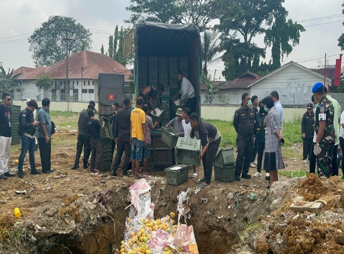 Dua unit truk Colt Diesel berwarna kuning yang mengangkut mangga ilegal itu diamankan di Jalan Sisingamangaraja Km 6 dan Km 7, Medan, pada Sabtu (29/3/2025) pagi.