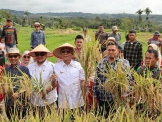 Bupati Tapanuli Selatan Gus Irawan Pasaribu mengikuti panen raya nasional bersama Presiden RI Prabowo Subianto, yang disiarkan langsung dalam jaringan (daring) dari Desa Pargarutan Julu, Kecamatan Angkola Timur, Senin (7/4/2025) pagi.