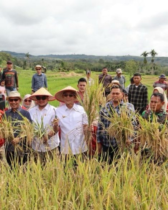Bupati Tapanuli Selatan Gus Irawan Pasaribu mengikuti panen raya nasional bersama Presiden RI Prabowo Subianto, yang disiarkan langsung dalam jaringan (daring) dari Desa Pargarutan Julu, Kecamatan Angkola Timur, Senin (7/4/2025) pagi.