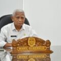 Wakil Gubernur Sumatera Utara (Wagubsu) Surya