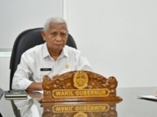 Wakil Gubernur Sumatera Utara (Wagubsu) Surya