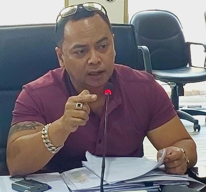 Renville Pandapotan Napitupulu