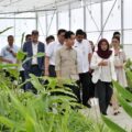 Di hari terakhir kunjungan kerja di Kabupaten Humbang Hasundutan (Humbahas), Sumatera Utara, Wakil Presiden Gibran Rakabuming Raka bersama istri, Selvi Gibran Rakabuming, meninjau Taman Sains Teknologi Herbal dan Hortikultura (TSTH2) di Kecamatan Pollung, Jumat (16/5/2025).