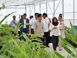 Di hari terakhir kunjungan kerja di Kabupaten Humbang Hasundutan (Humbahas), Sumatera Utara, Wakil Presiden Gibran Rakabuming Raka bersama istri, Selvi Gibran Rakabuming, meninjau Taman Sains Teknologi Herbal dan Hortikultura (TSTH2) di Kecamatan Pollung, Jumat (16/5/2025).