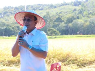 Bupati Tapanuli Selatan, Gus Irawan Pasaribu