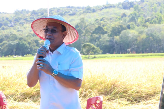 Bupati Tapanuli Selatan, Gus Irawan Pasaribu