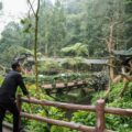 Sebagai langkah dan upaya untuk membenahi Kebun Binatang Medan (Medan Zoo), Walikota Medan Rico Waas melakukan studi tiru ke Taman Safari Indonesia yang berada di Bogor.