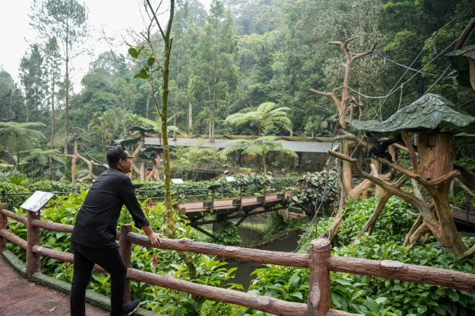 Sebagai langkah dan upaya untuk membenahi Kebun Binatang Medan (Medan Zoo), Walikota Medan Rico Waas melakukan studi tiru ke Taman Safari Indonesia yang berada di Bogor.