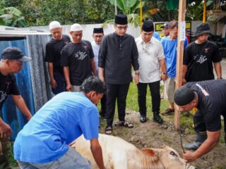 Wali Kota Medan Rico Tri Putra Bayu Waas menyaksikan langsung penyembelihan hewan kurban di Masjid Al Muttaqin, Jalan Hanura, Kecamatan Medan Sunggal, Sabtu (7/6/2025).