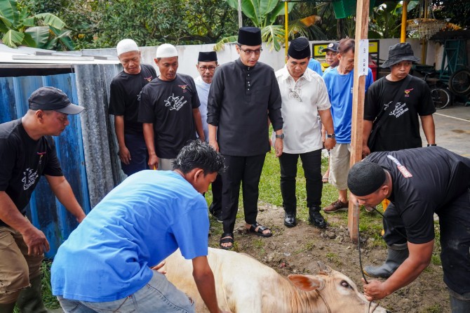 Wali Kota Medan Rico Tri Putra Bayu Waas menyaksikan langsung penyembelihan hewan kurban di Masjid Al Muttaqin, Jalan Hanura, Kecamatan Medan Sunggal, Sabtu (7/6/2025).