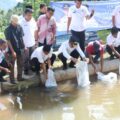 Pemerintah Kabupaten Tapanuli Selatan (Pemkab Tapsel), melalui Dinas Perikanan secara resmi meluncurkan program swasembada ikan melalui pembangunan 1.000 kolam ikan di seluruh wilayah Kabupaten Tapsel.