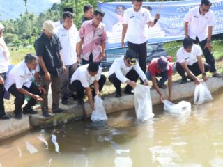 Pemerintah Kabupaten Tapanuli Selatan (Pemkab Tapsel), melalui Dinas Perikanan secara resmi meluncurkan program swasembada ikan melalui pembangunan 1.000 kolam ikan di seluruh wilayah Kabupaten Tapsel.