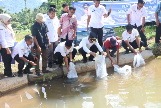Pemerintah Kabupaten Tapanuli Selatan (Pemkab Tapsel), melalui Dinas Perikanan secara resmi meluncurkan program swasembada ikan melalui pembangunan 1.000 kolam ikan di seluruh wilayah Kabupaten Tapsel.
