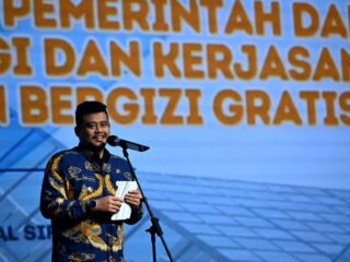 Gubernur Sumatera Utara, Muhammad Bobby Afif Nasution