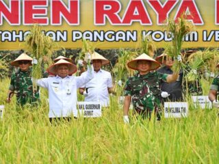Wakil Gubernur (Wagub) Sumatera Utara (Sumut) Surya bersama Panglima TNI Agus Subiyanto panen raya padi di Lahan Ketahanan Pangan Kodam I B, Desa Perkebunan Ramunia, Kecamatan Pantai Labu, Kabupaten Deliserdang, Kamis (20/7/2025).