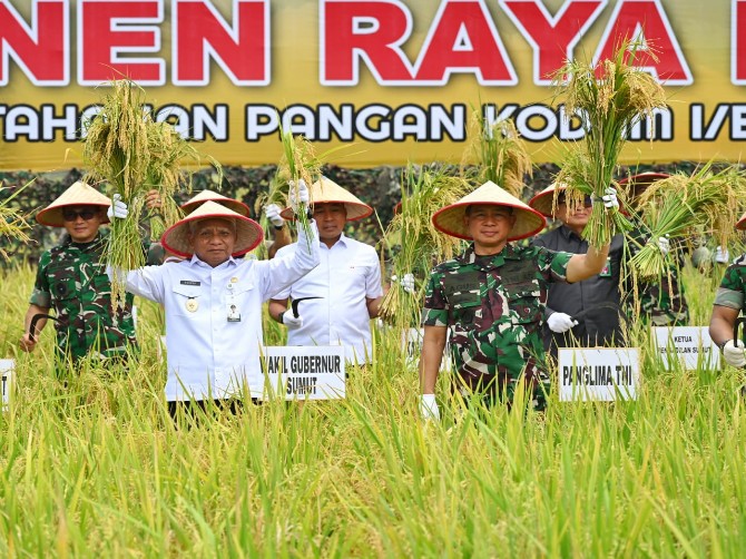 Wakil Gubernur (Wagub) Sumatera Utara (Sumut) Surya bersama Panglima TNI Agus Subiyanto panen raya padi di Lahan Ketahanan Pangan Kodam I B, Desa Perkebunan Ramunia, Kecamatan Pantai Labu, Kabupaten Deliserdang, Kamis (20/7/2025).