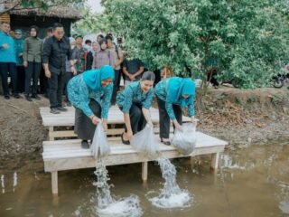 Ketua Tim Penggerak Pemberdayaan dan Kesejahteraan Keluarga (TP PKK) Provinsi Sumatera Utara Kahiyang Ayu, bersama Staf Ahli I TP PKK Sumut Titiek Sugiharti, menabur 15.000 benih ikan nila. Kegiatan tersebut berlangsung di Desa Pematangserai, Kecamatan Tanjungpura, Kabupaten Langkat, Selasa (5/8/2025).