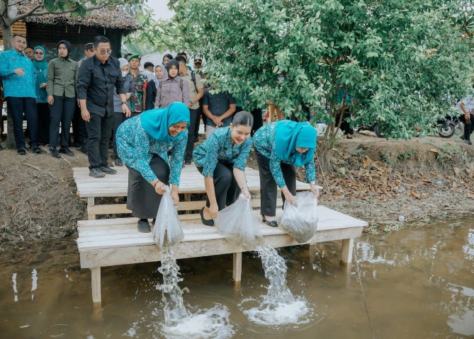 Ketua Tim Penggerak Pemberdayaan dan Kesejahteraan Keluarga (TP PKK) Provinsi Sumatera Utara Kahiyang Ayu, bersama Staf Ahli I TP PKK Sumut Titiek Sugiharti, menabur 15.000 benih ikan nila. Kegiatan tersebut berlangsung di Desa Pematangserai, Kecamatan Tanjungpura, Kabupaten Langkat, Selasa (5/8/2025).