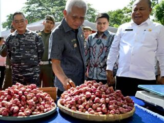 Gerakan Pangan Murah Serentak, Sumut Gelar Pasar Murah di 394 Lokasi