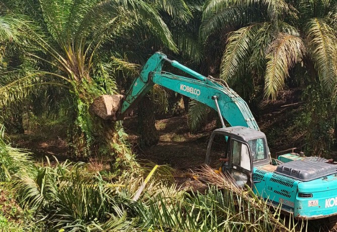 Kementerian Kehutanan (Kemenhut) bersama Satgas Garuda Penertiban Kawasan Hutan (PKH) memulai langkah pemulihan fungsi hutan di Taman Nasional Gunung Leuser (TNGL).