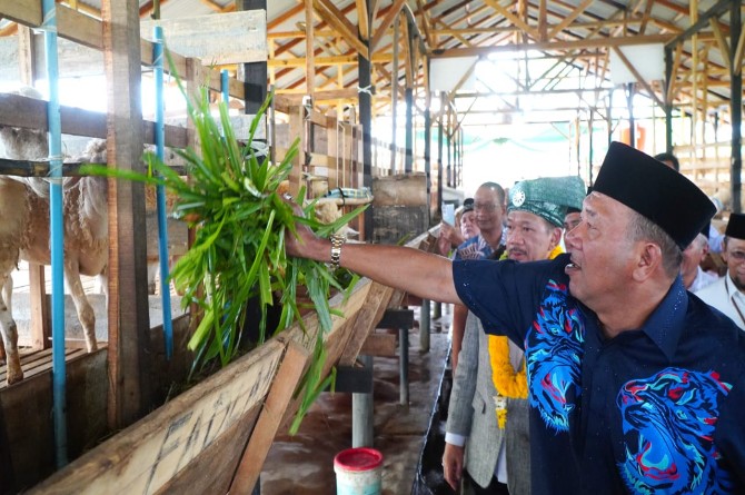 Bupati Langkat, Syah Afandin menegaskan komitmennya untuk mendorong hadirnya balai ternak hingga ke tingkat kecamatan sebagai upaya membangkitkan perekonomian masyarakat.