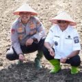 Bupati Langkat Syah Afandin bersama Kapolres Langkat saat penanaman jagung kwartal IV. Foto: dokumen Dinas Kominfo Langkat