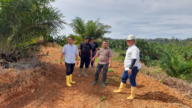 Komisaris PT PSU, Muhammad Syarif bersama manajemen di lokasi perkebunan milik BUMD Pemprov Sumut itu. Foto: IST