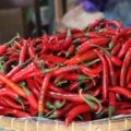 Harga cabai merah mulai menurun setelah sempat melonjak tinggi