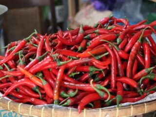 Harga cabai merah mulai menurun setelah sempat melonjak tinggi