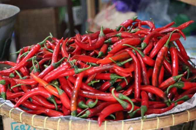 Harga cabai merah mulai menurun setelah sempat melonjak tinggi