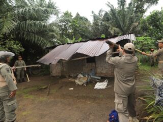 Sukseskan Program Nasional, Bangunan Liar di HPL Pemko Medan Dibongkar
