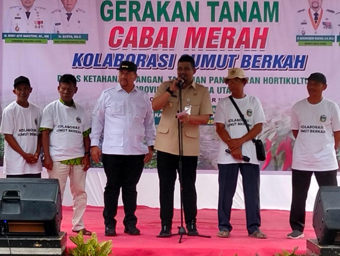 Gubernur Sumut Bobby Nasution saat melakukan dialog dengan kelompok tani cabai di Kabupaten Baru Bara, Selasa (25/11/2025). Foto: Reza Sahab/kaldera.id