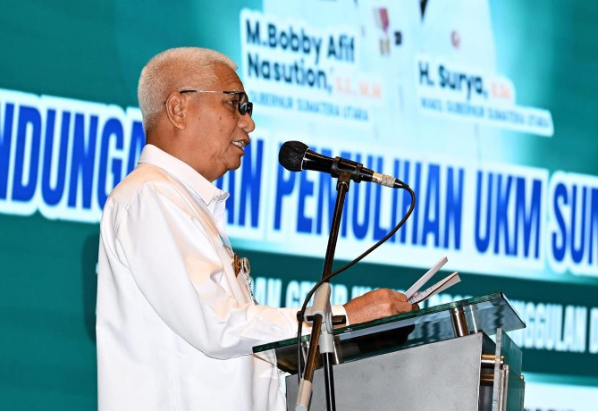 Wakil Gubernur (Wagub) Sumut, Surya