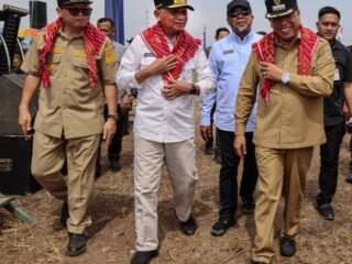 Panen Raya di Karo, Wagub Sumut Tegaskan Pemerintah Tidak Akan Tinggalkan Petani
