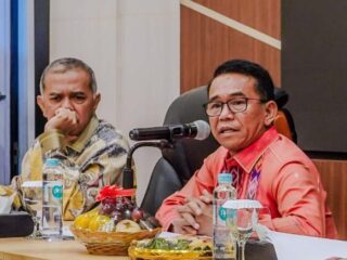 Normalisasi Sungai Mandek 20 Tahun, Wakil Wali Kota Medan Mengadu ke DPR RI