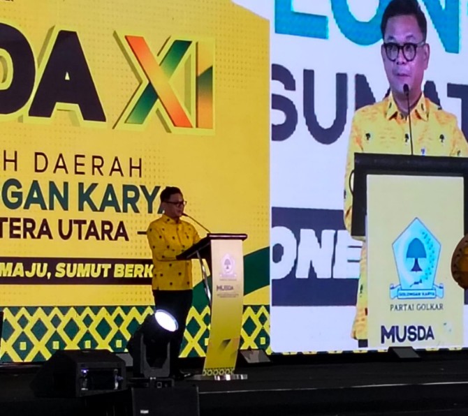 Wakil Ketua Umum DPP Partai Golkar, TB Ace Hasan Syadzily