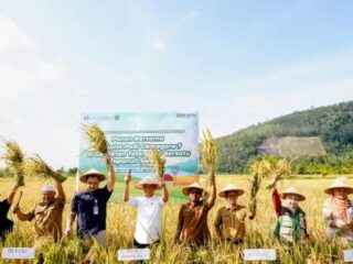 Panen Raya Di Tapsel, Gus Irawan Yakin Produktivitas Padi Akan Capai Angka Maksimal