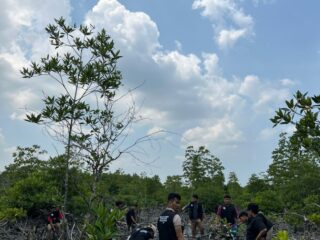 HMJ Pendidikan Geografi Lakukan Restorasi Mangrove Dan Sosialisasi Pengolahan Produk Lokal Di Desa Salahaji
