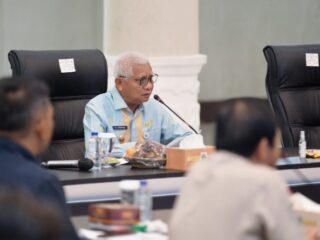 Wakil Gubernur Sumatera Utara (Sumut) Surya