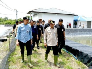 Wagub Sumut Tinjau UPTD BIAPAL Sialang Buah, Dorong Peningkatan PAD Perikanan