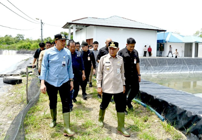 Wakil Gubernur Sumatera Utara Surya meninjau Unit Pelaksana Teknis Daerah (UPTD) Budidaya Ikan Air Payau dan Laut (BIAPAL) di Desa Pekan Sialang Buah, Kecamatan Teluk Mengkudu, Kabupaten Serdangbedagai, Selasa (12/5/2026).