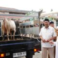 Menjelang Hari Raya Iduladha 1447 Hijriah, Bupati Langkat Syah Afandin bersama Wakil Bupati Langkat Tiorita Br Surbakti menyalurkan bantuan dua ekor sapi kurban dan 500 kilogram beras kepada masyarakat Besilam, Kecamatan Padang Tualang, Selasa (26/5/2026).