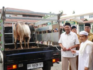 Syah Afandin dan Tiorita Bawa Sapi Kurban ke Besilam, Sekaligus Salurkan 500 Kg Beras