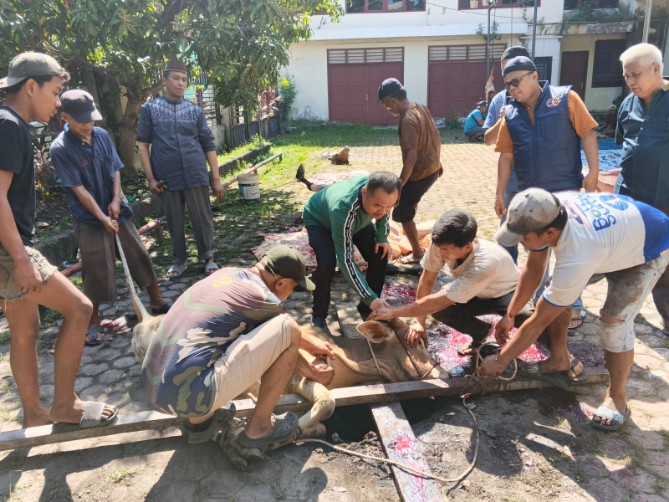 Persatuan Wartawan Indonesia (PWI) Sumatera Utara (Sumut) menyembelih 6 hewan kurban pada Hari Raya Idul Adha 1447 H/2026 M.