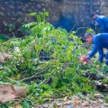 Aksi bersih-bersih menjadi puncak peringatan Hari Lingkungan Hidup Sedunia tingkat Kota Medan yang dipusatkan di Taman Hutan Kota Beringin, Sabtu (6/6/2026).