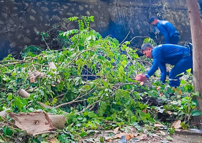 Aksi bersih-bersih menjadi puncak peringatan Hari Lingkungan Hidup Sedunia tingkat Kota Medan yang dipusatkan di Taman Hutan Kota Beringin, Sabtu (6/6/2026).