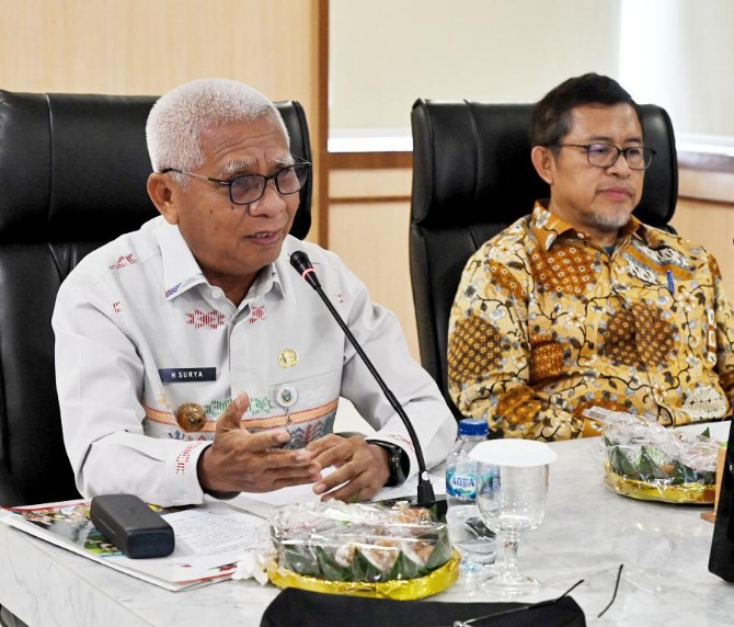 Wagub Sumut Surya